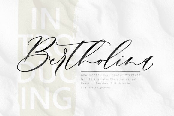Bertholina: The Modern Calligraphy Typeface for Web Designers
