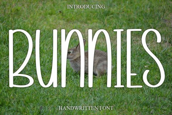 Bunnies: A Sweet Handwritten Font for Web Designers