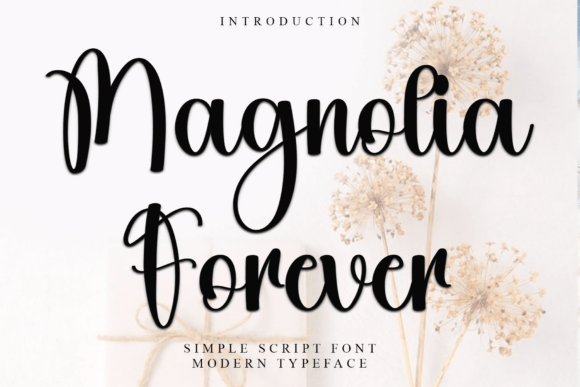 Magnolia Forever: The Soft Script Font That Elevates Handmade Products