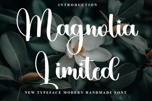 Magnolia Limited: A Festive Typeface for Web Designers