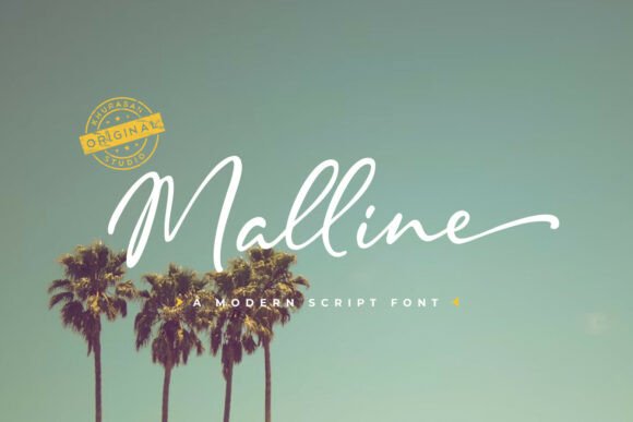 Malline: The Script Font That Makes Campaigns Unforgettable