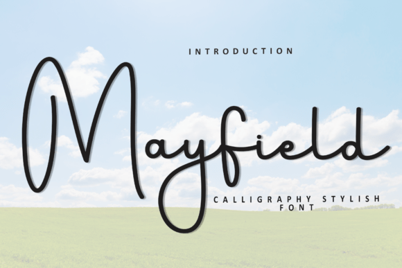 Mayfield Font: A Script Typeface for Modern Campaigns