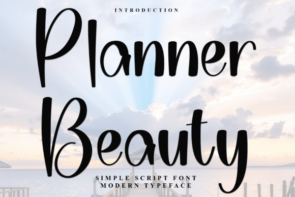 Planner Beauty: A Soft Script Font with Character