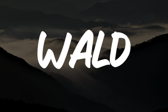 Wald Typeface: A Friendly Font for Brand Builders